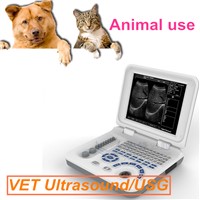 Animal&VET Sonography echo price/ultrasound machine/usg scanner/CE echo device/ultrasoinc