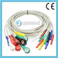 Holter ECG Cable 10 lead Wires, Snap, U301-13A10SA, U301-13A10SI