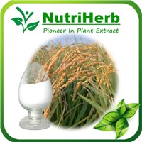 Natural Rice Extract 98% Ferulic acid