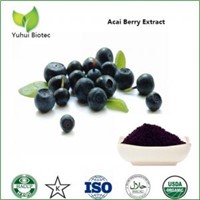 Acai Berry Extract,acai powder bulk,acai berry extract 20:1,acai berry powder brazil