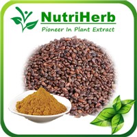 Natural Grape Seed Extract