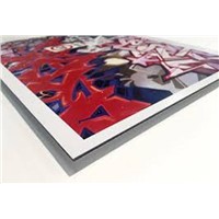 China UV Printing Board Aluminium Composite Panel