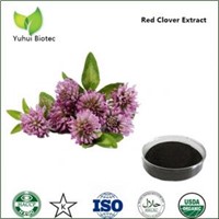 isoflavone red clover extract,natural red clover extract powder,red clover plant extract