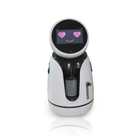 Smart Home Robot Humanoid for Android Tablet with Mini Camera for Remote Control CE, FCC