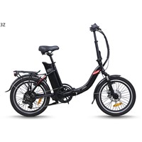 Electric bike folding model (TDN13Z)