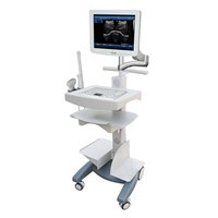 Sonostar portable ultrasound laptop diagnostic ultrasound scanner with CE low price SS-100