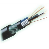 Outdoor Optical Fiber Cable GYTY53 (Direct-burial Single Armored and Double Sheathed Optical Cable)