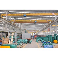CD1MD1 Wire Rope Electric Hoist