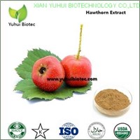 hawthorn berry extract,natural hawthorn extract,hawthorn leaf extract