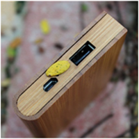 2016 Newest AiL Free Sample Best Selling Promotion WP-13 Power Bank