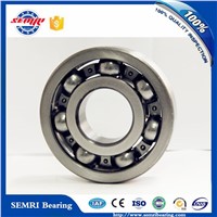High Performance Deep Groove Ball Bearing 6309 2RS for Machine Equipment with Reasonable Price