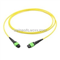 Fiber Optical Patch Cord MPO-MPO MTP Singlemode 12 24 Cores Fibers