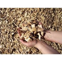Wood Chips For Power Plant  Renewable Fuel With Low Moisture f