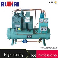 Bizter Compressor Condensing Unit From Chinese Manufacturer