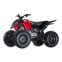 Kayo Storm 150 150cc ATV