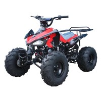 Taotao Cheetah 110cc Kids ATV