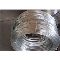 Low Price Electro Galvanized Iron Wire Hot Dipped Galvanized Steel Wire (Made in China)