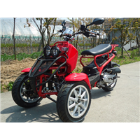 DF-MOTO 150cc Trike Scooter