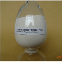 Poly Anionic Cellulose (PAC)