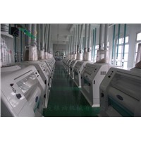 300T/24H Floor type wheat flour production line