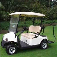 RD-2AC+D electric golf cart with AC system standard configuration