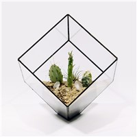 10*10cm Small Size Metal Frame Square Glass Terrarium Vase Home Decoration Table Stand Glass Vase Business Favor Gift