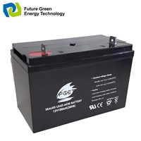 Sealed Lead Acid Backup Battery for UPS (12V100ah)