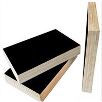 Film Faced Plywood for Construction (Furniture Plywood)