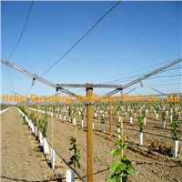 Vineyard Use Open Gable Trellis System with All Accessories