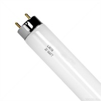 Fluorescent Tube