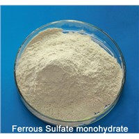 fe 30% ferrous sulphate monohydrate FeSO4