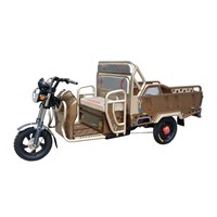 48V Deluxe Electric Cargo Tricycle with Adjustable Back Rest