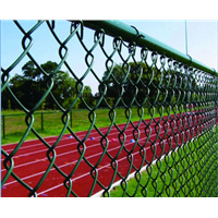 High Quality Zoo mesh / PVC Coated Chain Link Fence