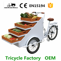 electric street vending tricycle for decoration special tricycle