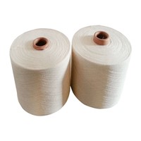 DTY 150D/48F Polyester Filament Yarn RW SD SIM