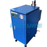 50 kg/h top-rated electric steam generator for processing