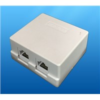 2 way TEL / Computer socket (YK1008)