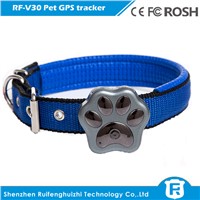 new products the mini smallest pet gps tracker for cat