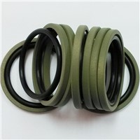 double-acting shaft seals