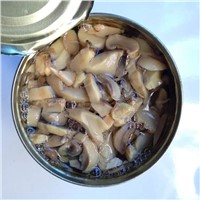 Canned Champignon Mushroom Pieces and Stem in Brine