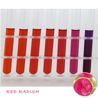 Natural Pigment Red Radish Powder