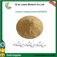 free sample of agricultural chitosan 85% 90% 95%