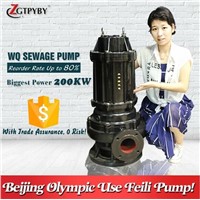440v Electric Submersible Pump for Sludge Transfered Wq Centrifugal Submersible Sewage Pump