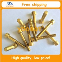 Free Shipping! Gr5 Ti6Al4V DIN912 GOLD Titanium Ti Bolt Screw M6 x 35mm Allen Head Ror Headset