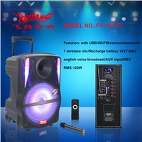 Feiyang Temeisheng 100 Watt 15 Inch Home Theater Speaker System with Best Price FY-15 with USB Powered Dj Speakers