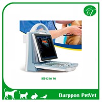 VET portable Color Doppler Ultrasound Scanner system diagnosis cattle , dogs