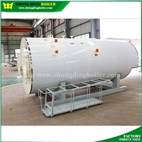 WNS series Auto Types of Oil Gas Steam Boiler for Sale
