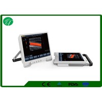 Portable ipad 3d ultrasound scanner with touch screen TS30