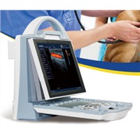 VET portable Color Doppler Ultrasound Scanner system diagnosis cattle , dogs