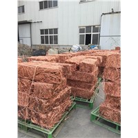 Sell copper wire scrap 99.9%